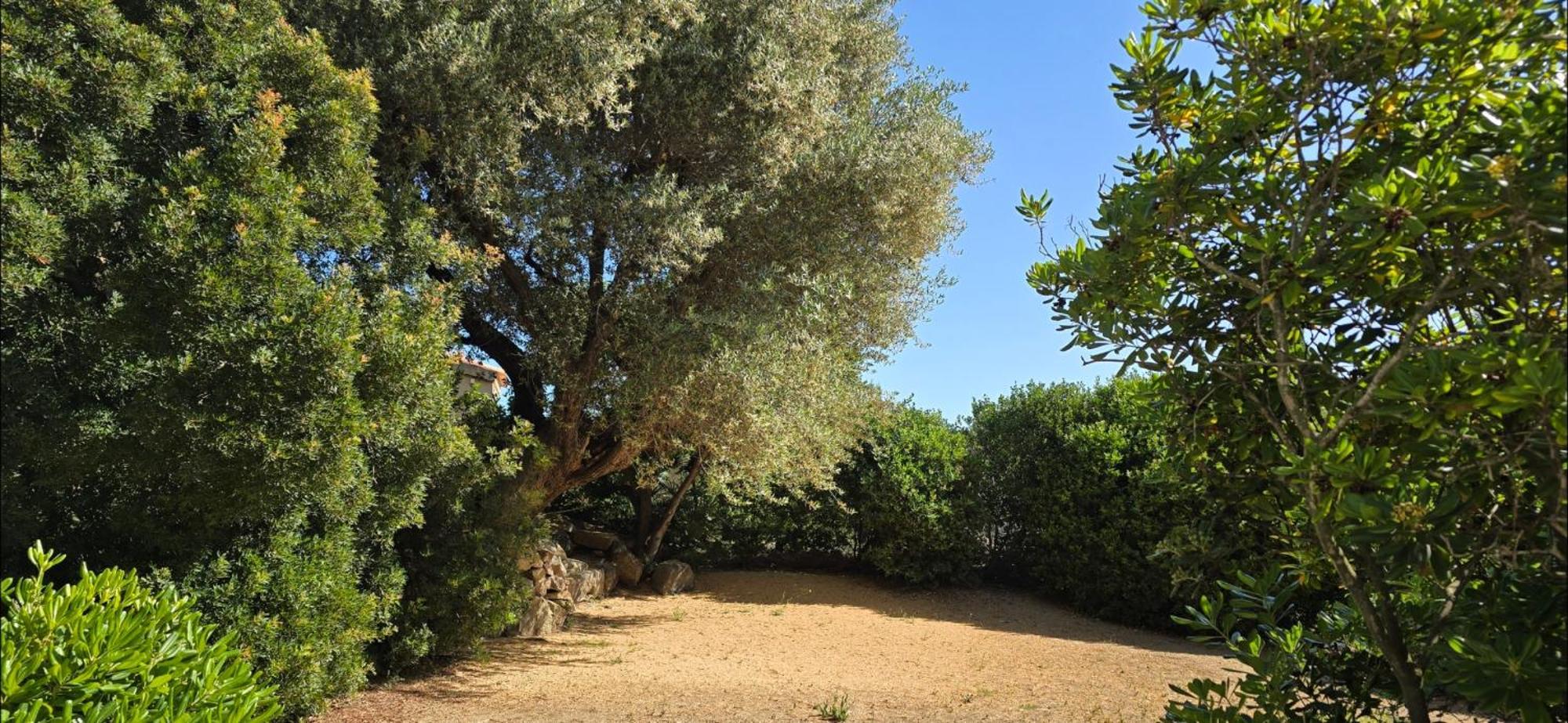 Hotel Cala Di L'oru