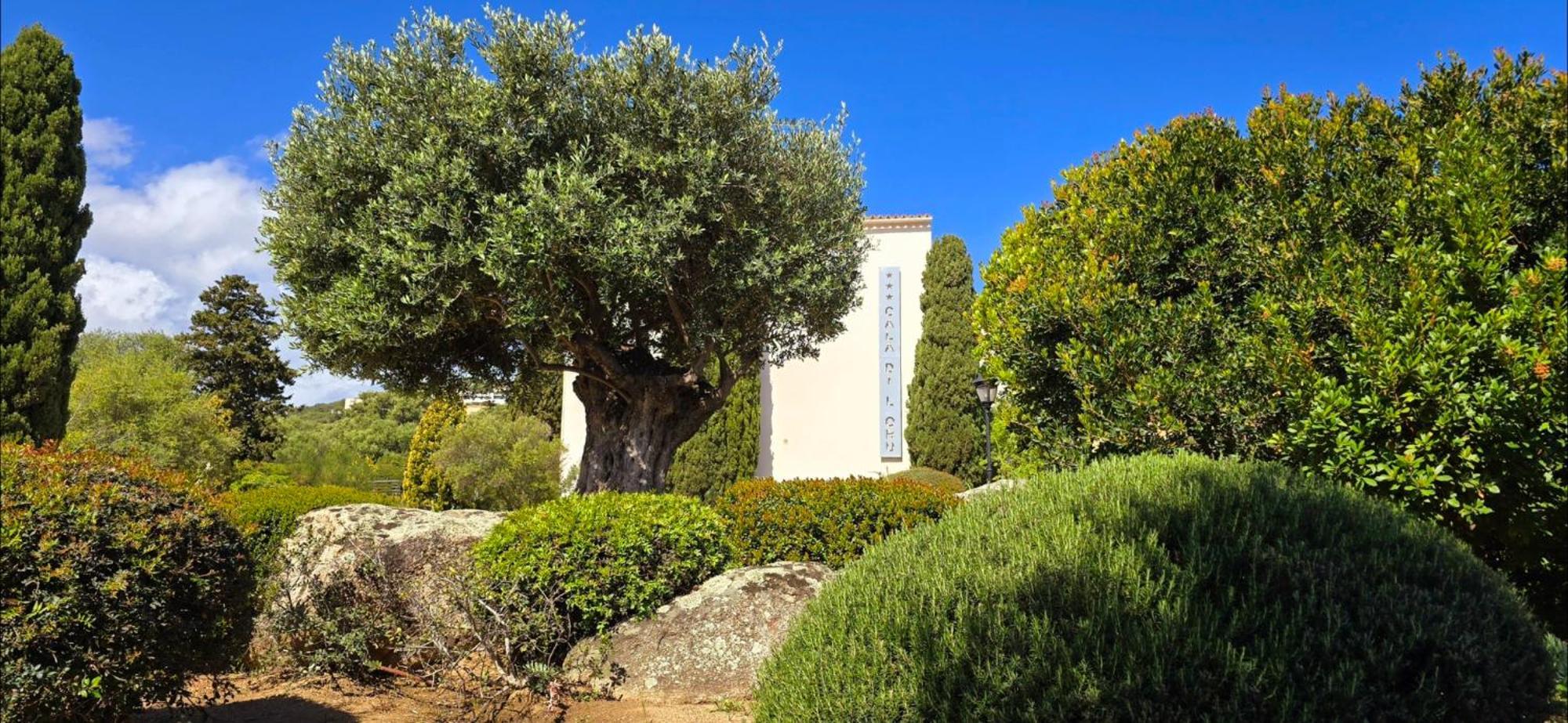 Cala Di L'oru